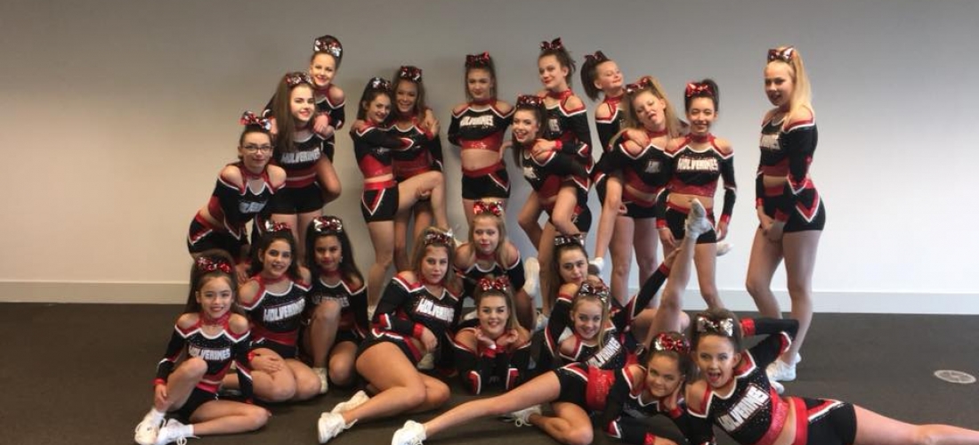Storm Wolverines
